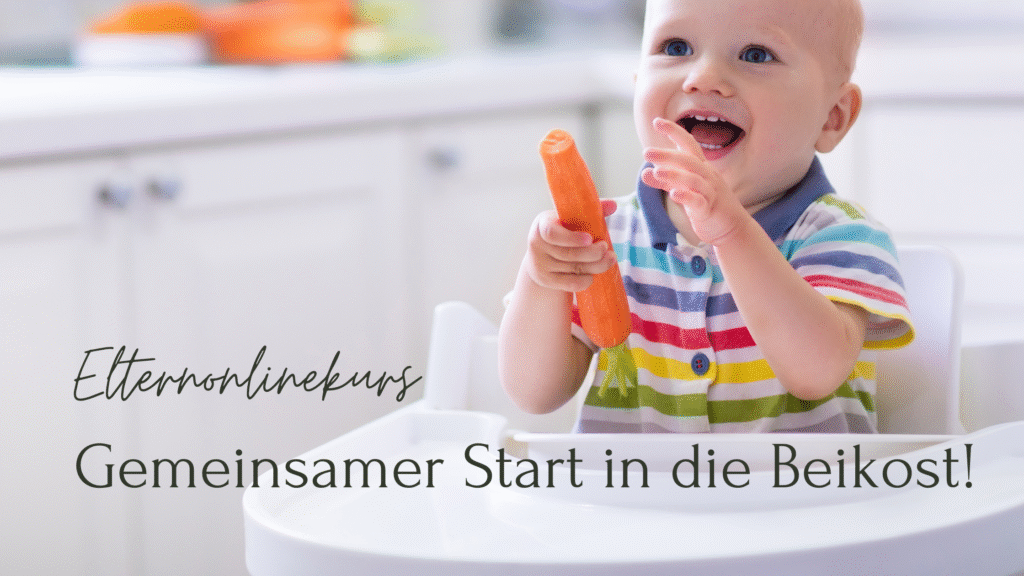 Elternonlinekurs Beikoststart
