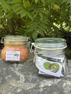 Ferment Starterglas, Prinzessinnenferment fertig