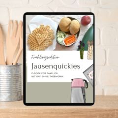 Jausenquickie, Jausenbox, Lunchbox, Schuljause, Pausenbrot, Znüni, Rezepte, TCM, gesunde Ernährung Kinder, ebook
