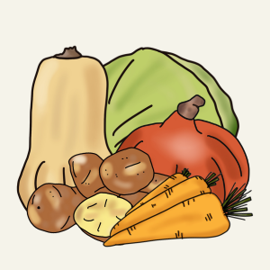 Gemüse Oktober, saisonales Gemüse Oktober, regionales Gemüse, Gemüse im Herbst, Herbstgemüse, Saisonkalender Gemüse, saisonal kochen, regional einkaufen, Gemüse fermentieren,