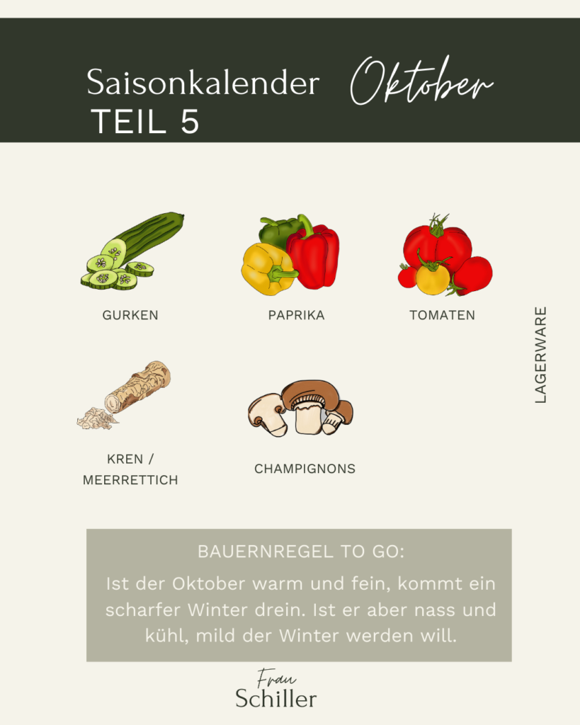 Saisonkalender Frau Schiller Oktober Teil 5
