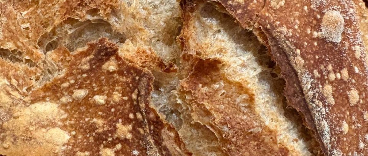 Brot